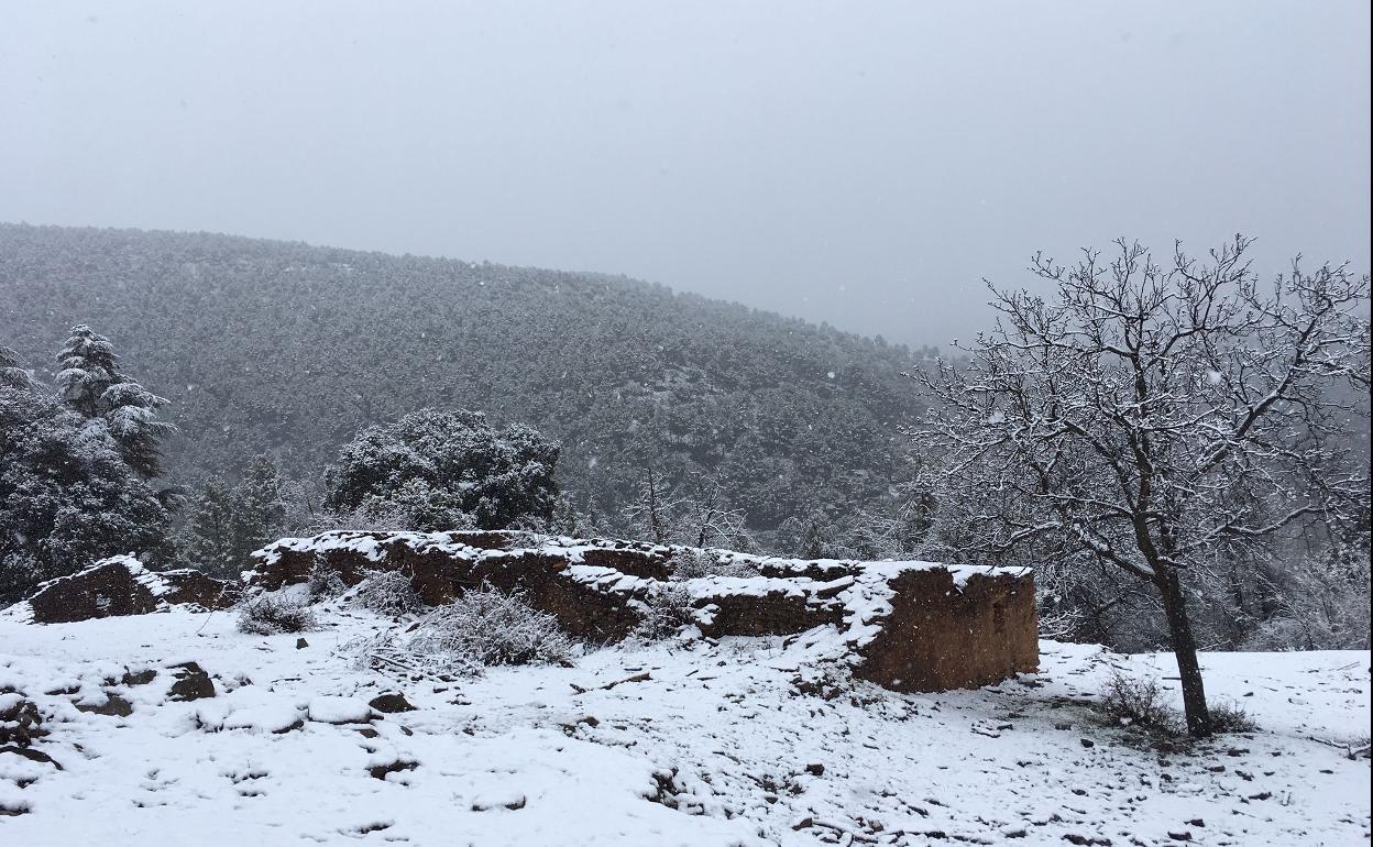 La nieve en la comarca de Guadix obliga a llevar cadenas en el Puerto